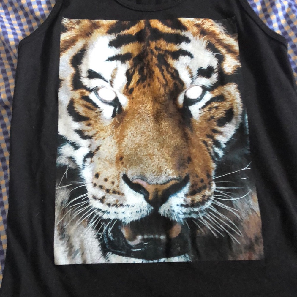 Tiger tank - Picture 2 of 4